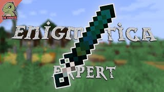 Enigmatica 6 Expert EP22  Breaking into Tetra  Minecraft 116 [upl. by Spanos]