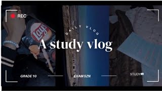 A study vlogSouth African youtuber grade 10 [upl. by Inaej]