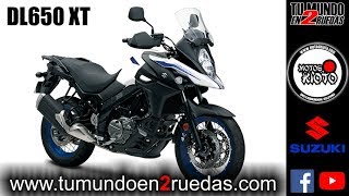 Suzuki Vstrom 650 [upl. by Eninahpets]