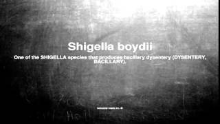 Medical vocabulary What does Shigella boydii mean [upl. by Savick]