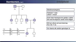 klas 3 les 4 Stambomen KOLD [upl. by Goebel]