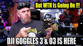 DJI Goggles 3 O3 Support Is Here  The Rundown On FCC Hacks  Compatibility amp More [upl. by Ssilb132]