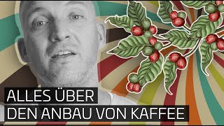 Das ist Kaffee  01  Alles über den Anbau von Kaffee [upl. by Genesa]