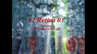 12 Retina part3 الكفراوي أناتومى Elkafrawy Anatomy Basics [upl. by Gresham909]