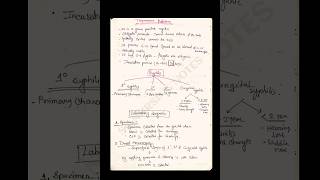 Treponema Pallidum shortnotes shortnot microbiology explore [upl. by Hindu]