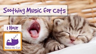 1 HOUR OF MUSIC FOR CATS Soothe Your Cat With Relaxing Music [upl. by Onitnas]