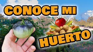 El Huerto y las Hortalizas de Verano 🌞 Paseo por la Huerta Orgánica  Especial 100000 Suscriptores [upl. by Bastian]