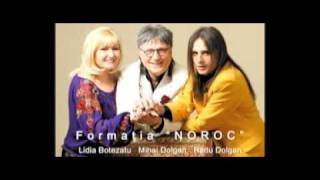 De ce plang chitarele  remix  Formatia NOROC [upl. by Parnell]