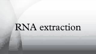 RNA extraction [upl. by Pollard]