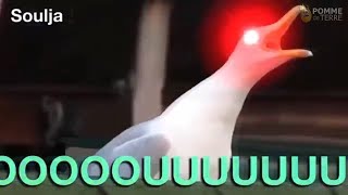 Inhaling Seagull Meme Compilation 2018 [upl. by Phene105]