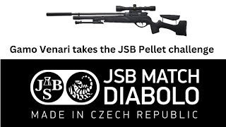 Gamo Venari does the JSB Match Diablo pellet test [upl. by Rehotsirk]