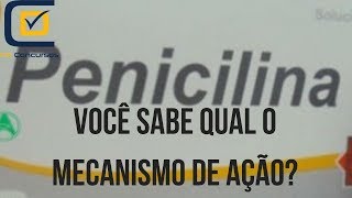 Você sabe qual é o mecanismo de ação da Penicilina [upl. by Eunice329]