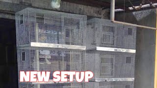 How to make bird cage at home  bird cage banani ka tarika  mera naya bird setup [upl. by Yarahs]