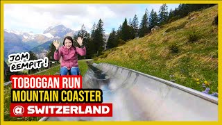 🇨🇭 TOBOGGAN  Mountain Coaster at Switzerland Rodelbahn Oeschinensee [upl. by Keon]