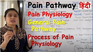 Pain Pathway in Hindi  Pain Physiology  General Pain Pathway  Process of Pain Physiology [upl. by Eirac]