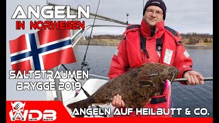 Angeln in Norwegen 2019 Saltstraumen Brygge Fishing Angel Berger Wild Devil Baits Tour [upl. by Shaughn]