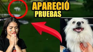 Platanito aparece y nadie se da cuenta reacción de Mariana a enterarse que se perdió presento prueba [upl. by Nedarb]