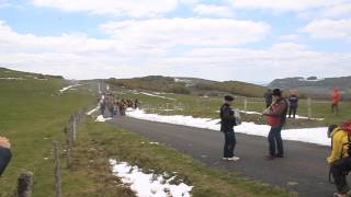 Transhumance Aubrac 2013 [upl. by Yacov826]