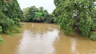 Kalu ganga river flowing through ratnapura town Sri Lnka [upl. by Iverson]