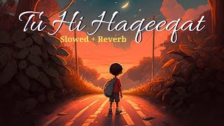 Tu Hi Haqeeqat LOFI Slowed  Reverb [upl. by Orpah]