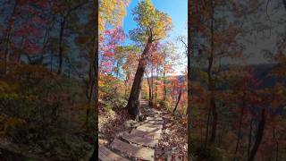 Autumn in WV youtubehighfive insta360 [upl. by Rebeca]