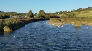 River Char at Charmouth Dorset [upl. by Ekud]