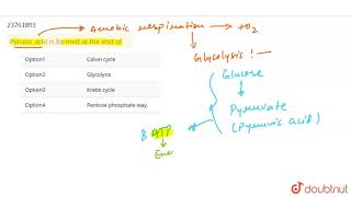 Pyruvic acid is formed at the end of [upl. by Leziar]