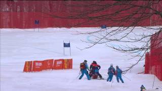 Mens downhill sitting  Alpine skiing  Sochi 2014 Paralympics [upl. by Marylou]