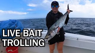 Early Season Kingfish Trolling Live Bait Around Wrecks amp Ledges [upl. by Aicek241]