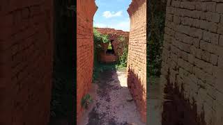 Inside video of Nalanda khandar Bihar shortsvideo enjoylifeblogs [upl. by Alejandra]