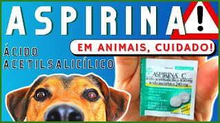 ASPIRINA PARA CACHORRO PODE O QUE FAZER ÁCIDO ACETILSALICÍLICO O PERIGO DA AUTOMEDICAÇÃO EM PETS [upl. by Towne530]