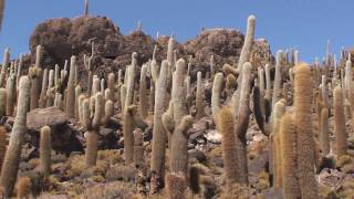 Bolivien Trailer [upl. by Madeline]