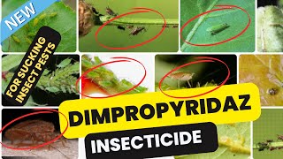 Dimpropyridaz Insecticide Effective Control of Sucking Pests in Crops [upl. by Ahsote]