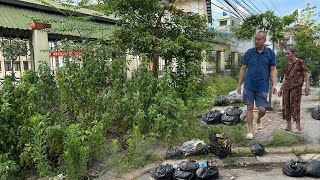 Mrs Old Lady was surprised to see the weeds and trash disappearing on the sidewalk when we cleaned [upl. by Annaeirb]