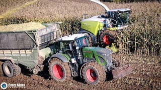 Mais häckseln auf schweren Lehmboden im Hang Claas Jaguar 990  Fendt Vario  John Deere [upl. by Durman]