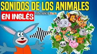 SONIDOS de los ANIMALES en INGLÉS [upl. by Egdirdle]