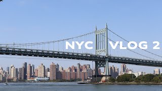 model in nyc vlog 2 [upl. by Candis]