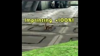 PART 1 100 Ark Imprinting Settings for MEDIUM Dinos shorts BlowoutGaming arkguide [upl. by Kimbell827]