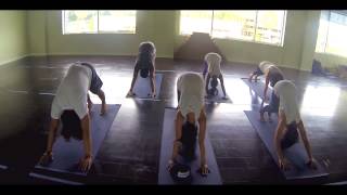 Moksha Yoga Brampton Studio Tour [upl. by Frannie]