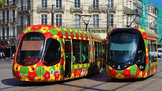 Trams in France  Les Tramways de Montpellier [upl. by Lattie845]