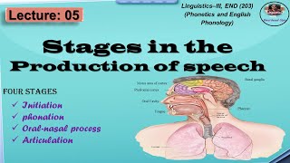 Production of Speech Sounds  Stages in the Production of Speech sounds [upl. by Clarke]