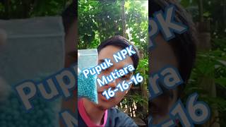 Pupuk NPK Mutiara 161616 videoshorts [upl. by Assenej]