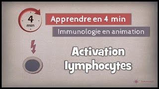 28 ◽ Activation des lymphocytes [upl. by Tinor]