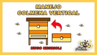 Colmena VERTICAL por Hugo Negrioli 🐝🧡🎥 Apicultura para Principiantes [upl. by Leik468]