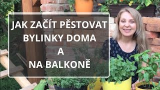 Jak začít pěstovat bylinky doma a na balkoně [upl. by Marthena]