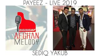 Sediq Yakub  Payeez LIVE 2019 [upl. by Sitelc]