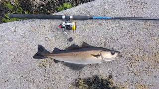 Sea fishing  Remote Scottish Highlands [upl. by Hansel683]