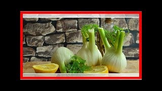 Fenchel zubereiten Rezepte zum Braten kochen oder roh essen [upl. by Dianne]