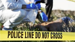 Forensic Science Technicians Career Video [upl. by Nylareg]