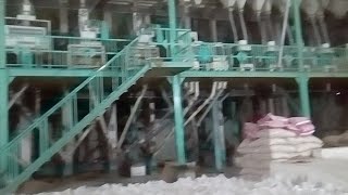 Rice Mill  1121 Basmati Rice Processing [upl. by Delmar]